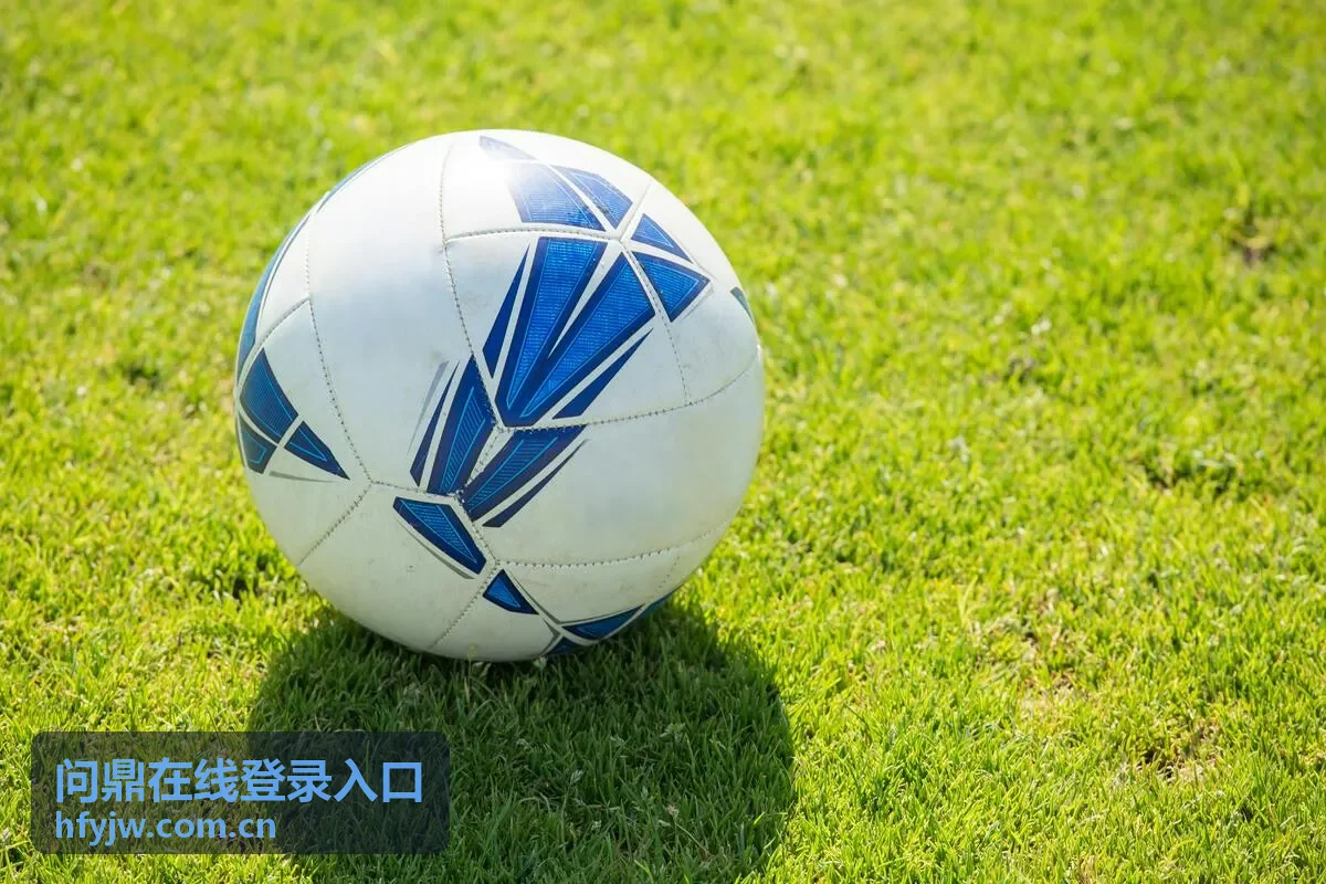 问鼎在线登录入口活动权益展示六