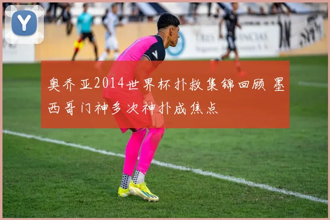 奥乔亚2014世界杯扑救集锦回顾 墨西哥门神多次神扑成焦点